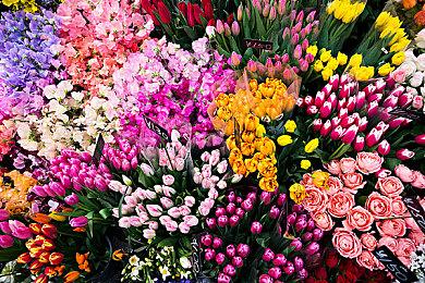 《火焰纹章：结合》扩展包第二弹更新上线 新增多个纹章士